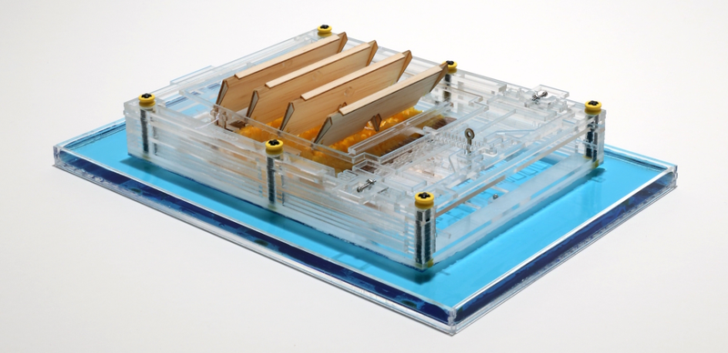 Miniature model of an evaporation engine. The engine sits on the surface of water (blue), and when water on the surface below the device evaporates, it creates a piston-like back and forth motion. When connected to a generator, that motion produces electricity. (Image: Xi Chen)